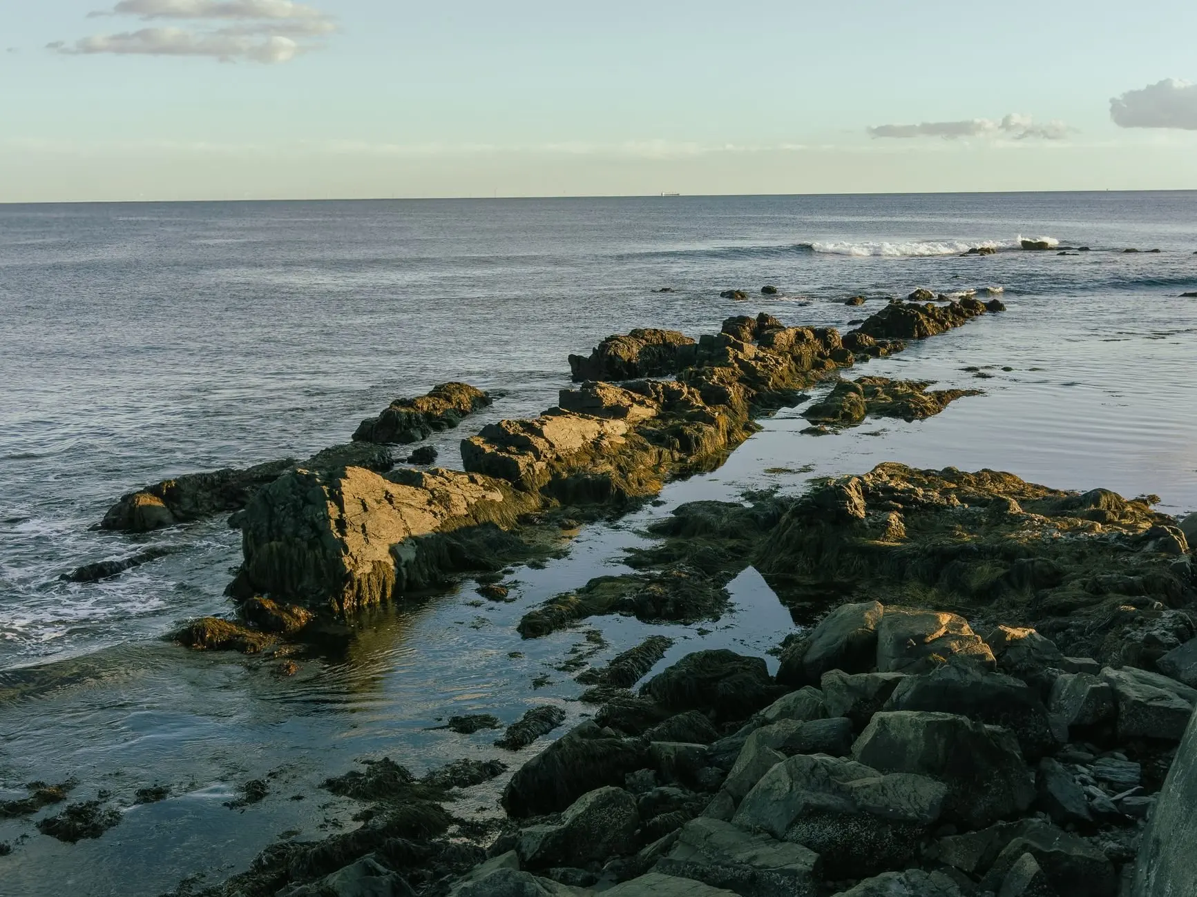 Maine ecosystems