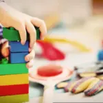 Biodiversity Jenga Activity: Step by Step